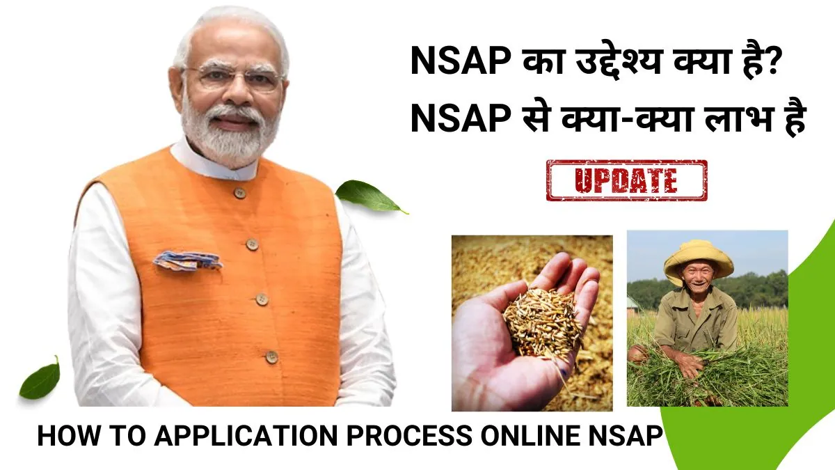 NSAP Indira Gandhi National Old Age Pension Scheme In Hindi